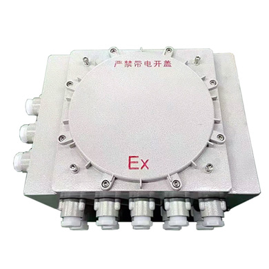 IIC級(jí)廠用防爆接線箱防爆配電箱廠家